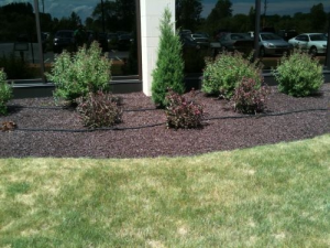 Commercial Landscaping Mulch