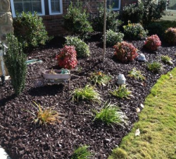 Completed Rubber Mulch Landscaping