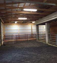 Rubber Mulch for Horse Arenas
