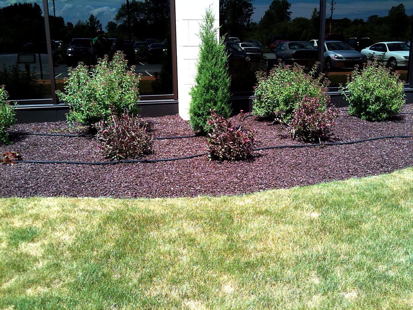 Commercial landscaping with rubber mulch