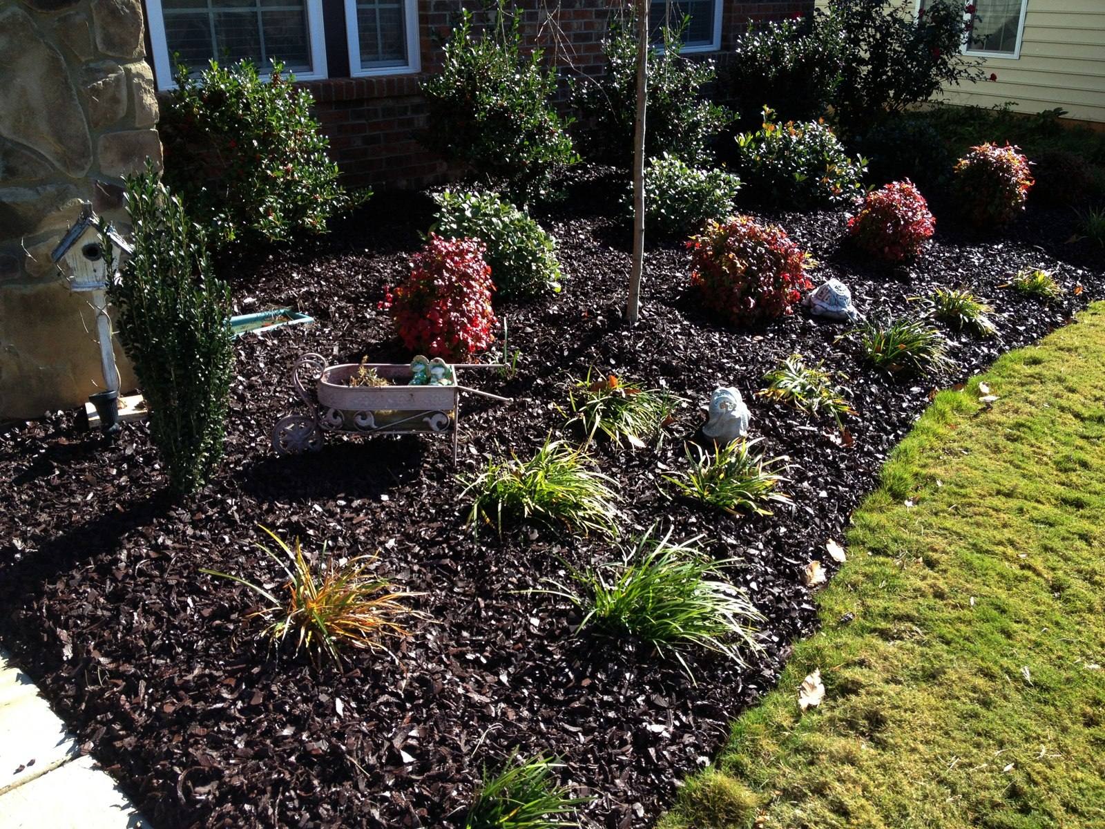 Residential front-yard bed surfaced with rich brown rubber mulch