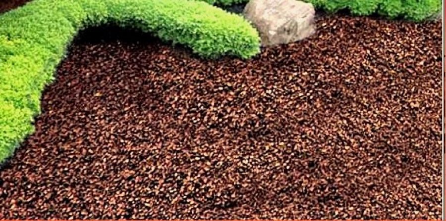 Brown rubber mulch in a landscape bed