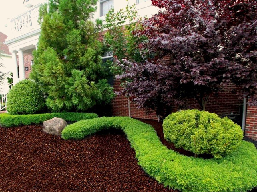 Brown rubber mulch in a Southern landscape bed