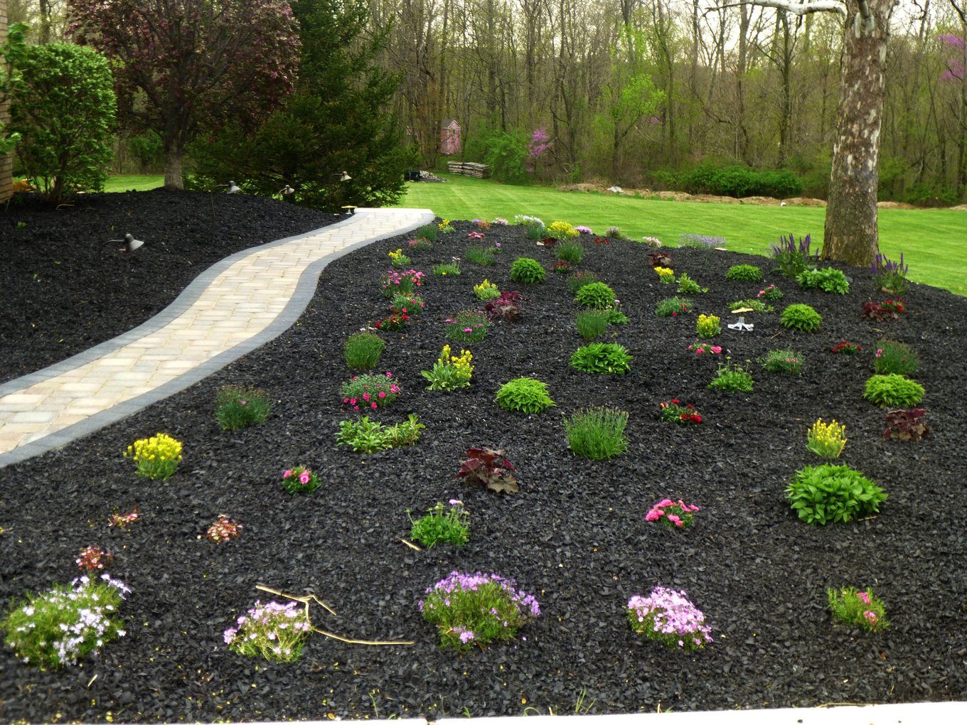 Rubber mulch holding a clean edge around a planted garden bed