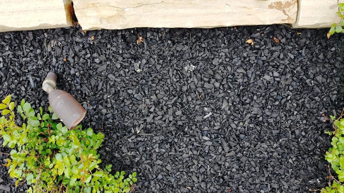 Rubber mulch holding a clean edge around a planted garden bed