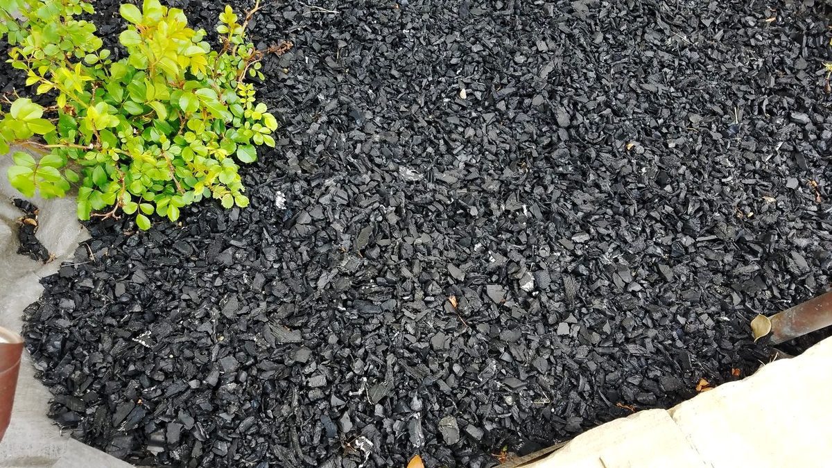 Rubber mulch framing a lush landscape bed