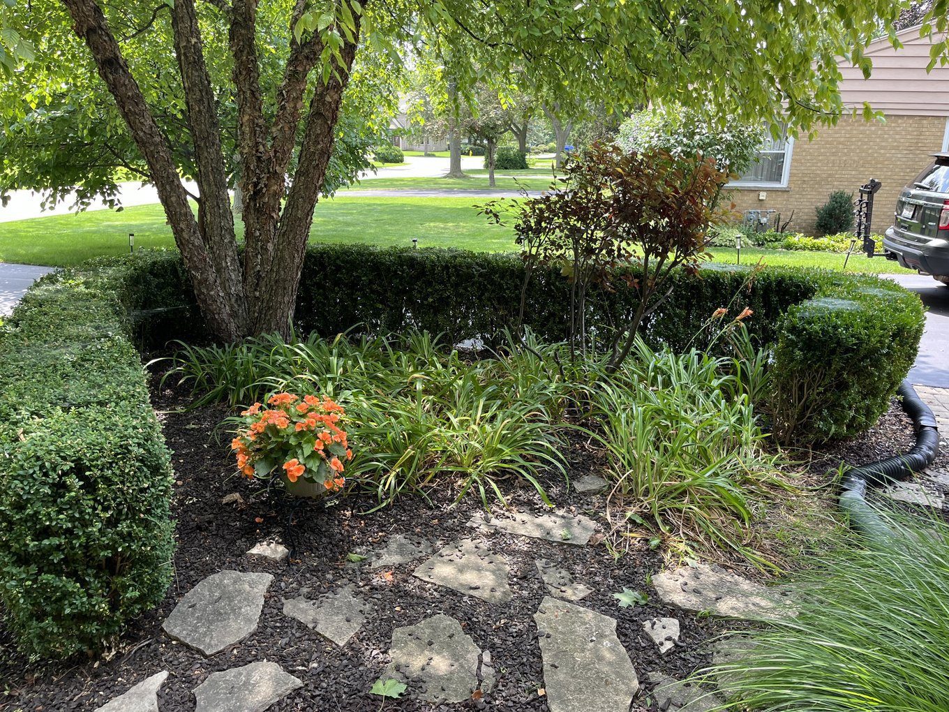 Rubber mulch in a South Carolina landscape bed