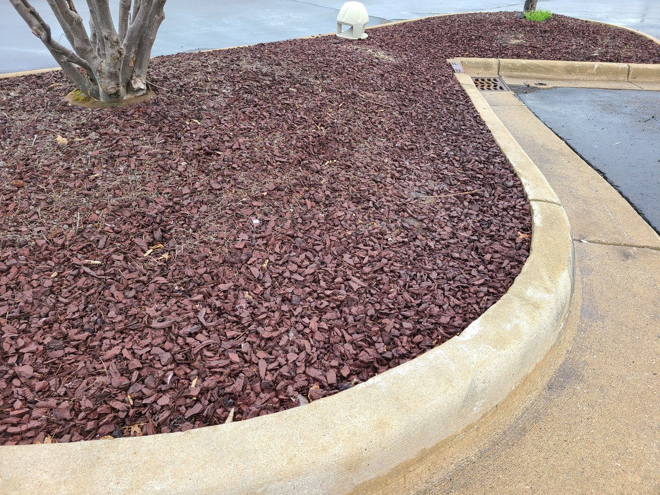 Rubber mulch in a Georgia landscape bed