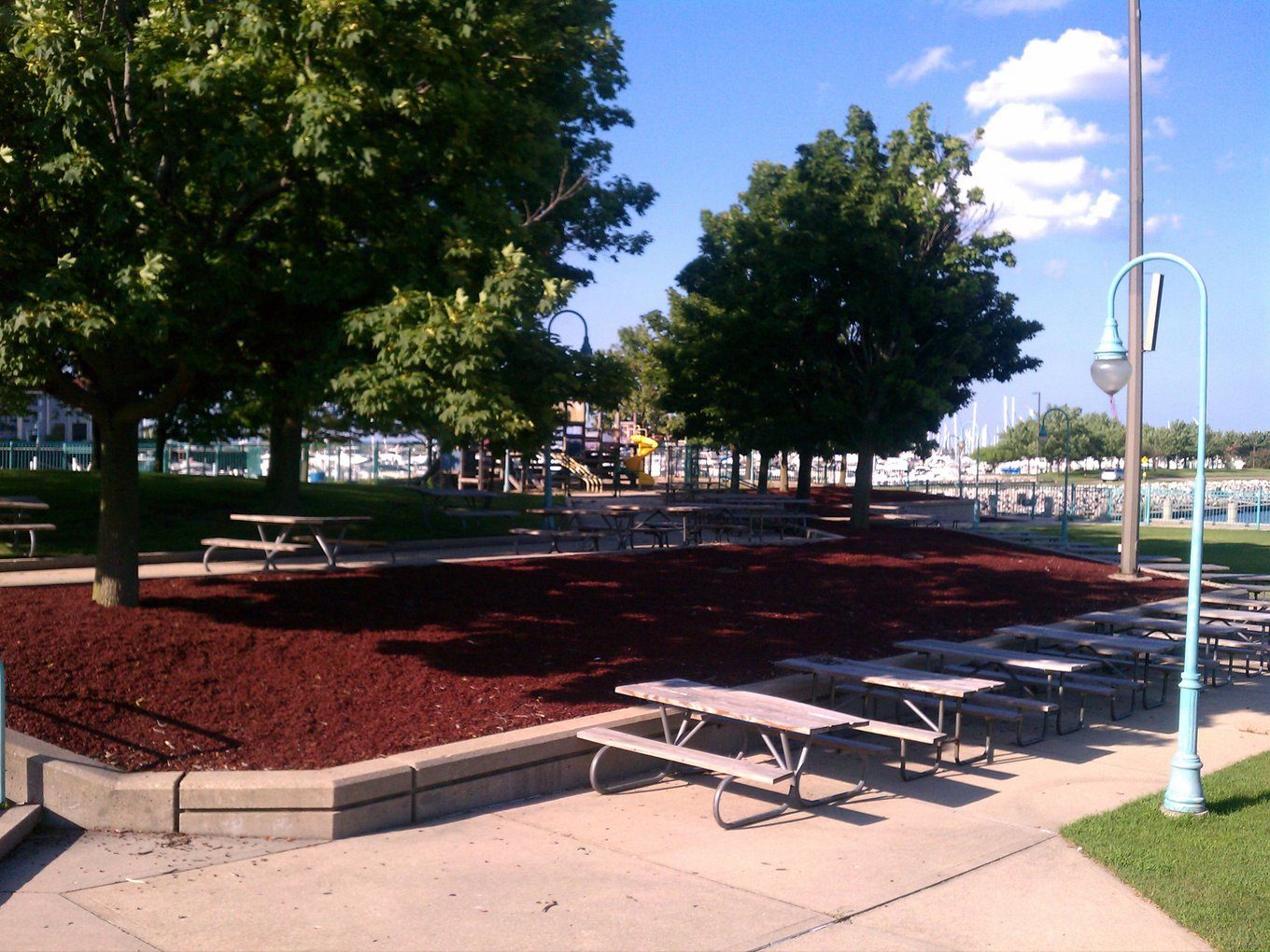 Rubber mulch holding a clean edge around a planted garden bed