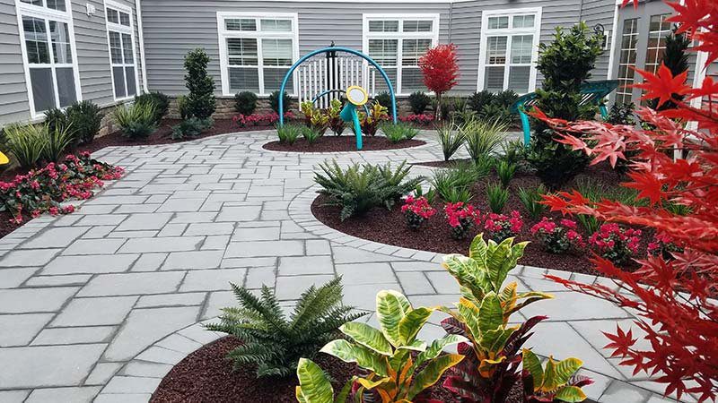 Rubber mulch framing a lush landscape bed