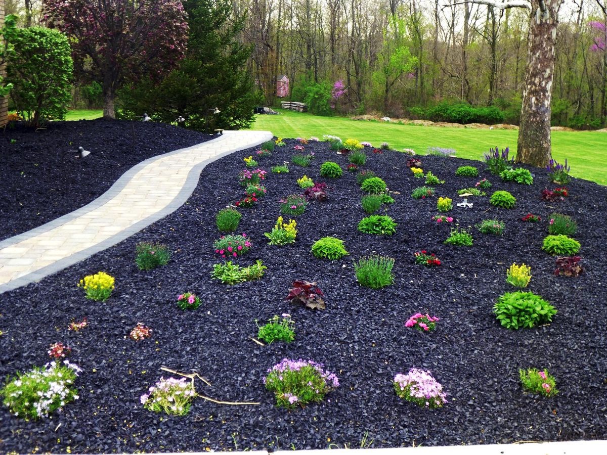 Black rubber mulch garden bed along a curved paver walkway