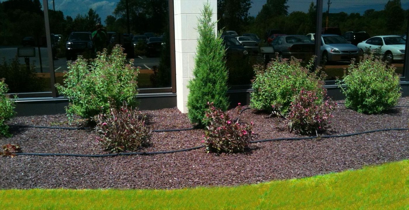 Brown rubber mulch planting bed along a commercial building